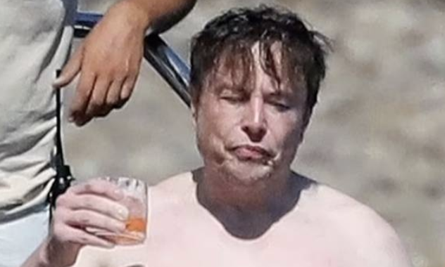 Musk Cancels India Tesla Plans as Company in Freefall Collapse